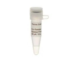 Invitrogen™ Custom DNA Oligonucleotide