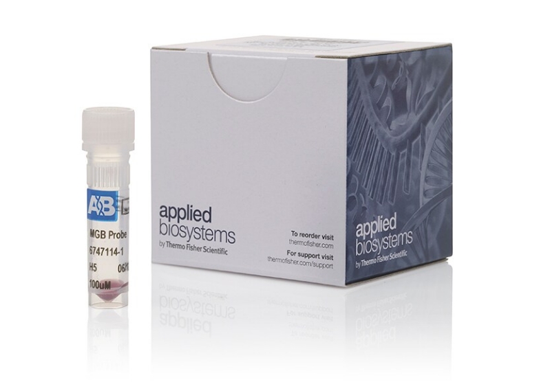 Applied Biosystems™ TaqMan™ MGB Probe
