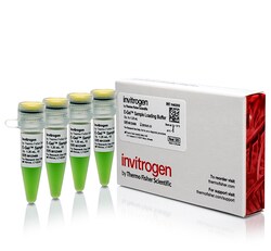 Invitrogen™ E-Gel™ Sample Loading Buffer, 1X, 4 x 1.25 mL