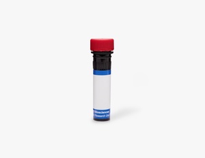 BD Pharmingen™ PE-Cy™7 Mouse Anti-Human CD16 for 50 Tests