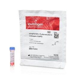 Invitrogen™ Streptavidin, R-Phycoerythrin Conjugate (SAPE) - 1 mg/mL