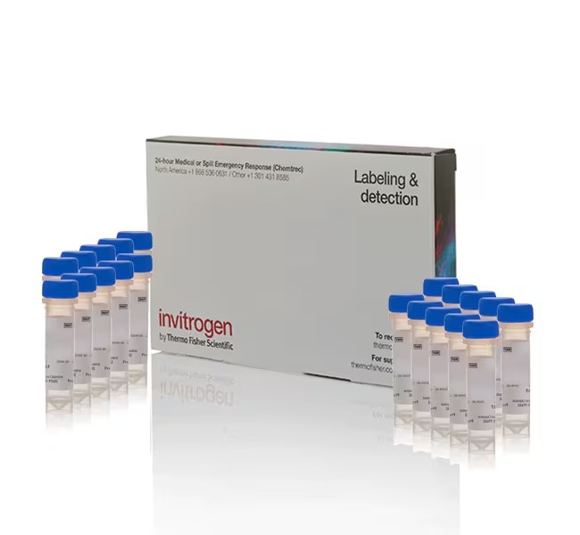 Invitrogen™ MitoTracker™ Dye for Mitochondria Labeling, 20 x 50 µg