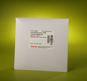 Pierce™ PVDF Transfer Membranes, Pre-cut, 0.2 μm