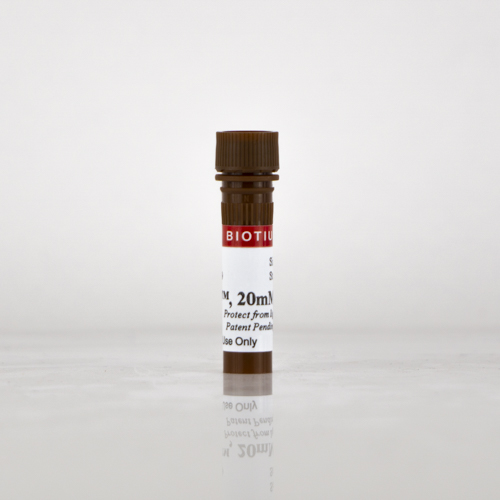PMA, 20mM in H2O, 100 µl