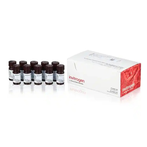 [D12345] Invitrogen™ DMSO, Anhydrous, 3mL