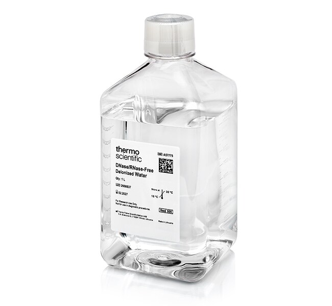 Thermo Scientific™ DNase/RNase-Free Deionized Water