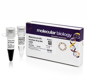 Thermo Scientific™ GeneRuler 50 bp DNA Ladder with  6X TriTrack DNA Loading Dye, 50 µg