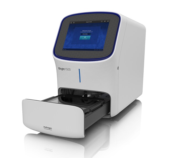Invitrogen™ iBright™ FL1500 Imaging System