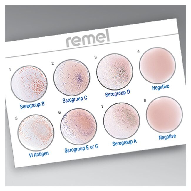 Thermo Scientific™ Wellcolex™ Color Shigella Kit, for 50 Tests
