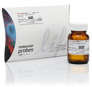 Invitrogen™  Cal-Lyse™ Lysing Solution, Whole Blood Lysing Solution