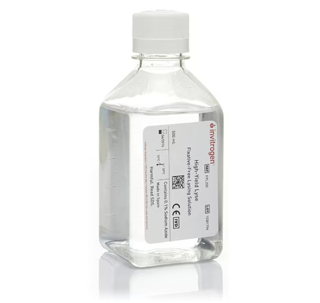 Invitrogen™ Fixative-Free Lysing Solution, High-Yield Lyse, 500mL