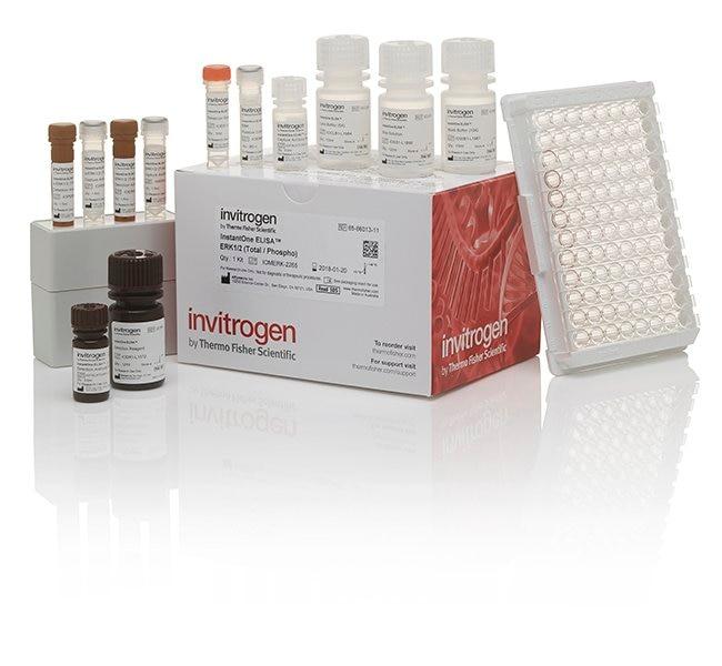 Invitrogen™ SMAD1 (Total/Phospho) Human InstantOne™ ELISA Kit