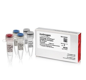 Invitrogen™ SuperScript IV UniPrime One-Step RT-PCR System, Dye-Free