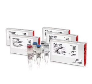 Invitrogen™ SuperScript IV UniPrime One-Step RT-PCR System, Dye-Free