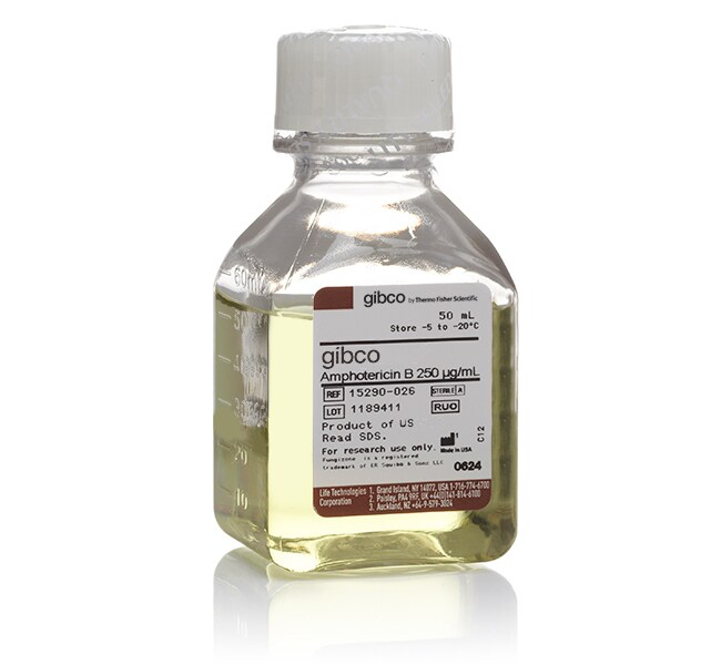 Gibco™ Amphotericin B, 0.25 to 2.5 μg/mL