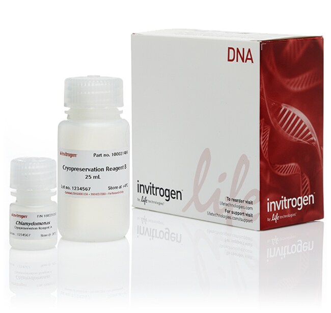 Invitrogen™ GeneArt™ Cryopreservation Kit for Algae, for 100 preps