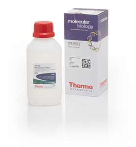 Thermo Scientific™ TBE Buffer (Tris-borate-EDTA) (10X)