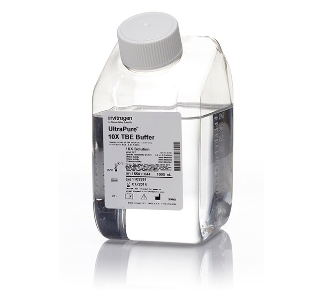Invitrogen™ UltraPure™ TBE Buffer, 10X