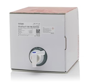 Invitrogen™ UltraPure™ TBE Buffer, 10X