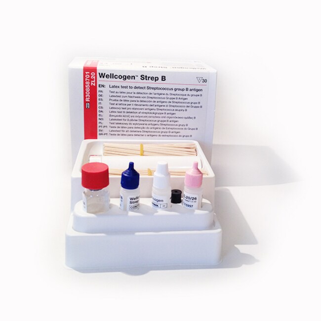Wellcogen™ Strep B Rapid Latex Agglutination Test kit, for 30 Tests