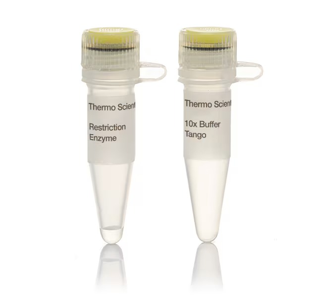 Thermo Scientific™ AluI (10 U/μL) restriction enzyme