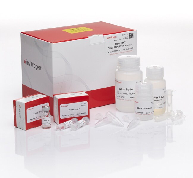 Invitrogen™ PureLink™ Viral RNA/DNA Mini Kit, for 50 preps