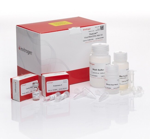 [12280050] Invitrogen™ PureLink™ Viral RNA/DNA Mini Kit, for 50 preps