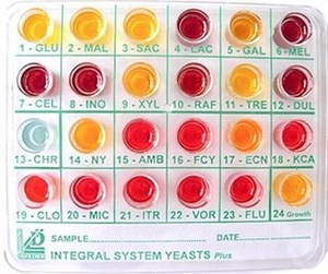 Liofilchem® Integral System YEASTS Plus