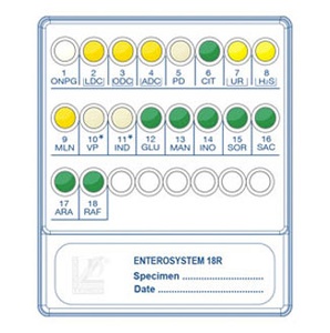 Liofilchem™ Enterosystem 18R, for 20 Tests