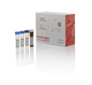 Invitrogen™ TGF beta 1 Human ProcartaPlex™ Simplex Kit