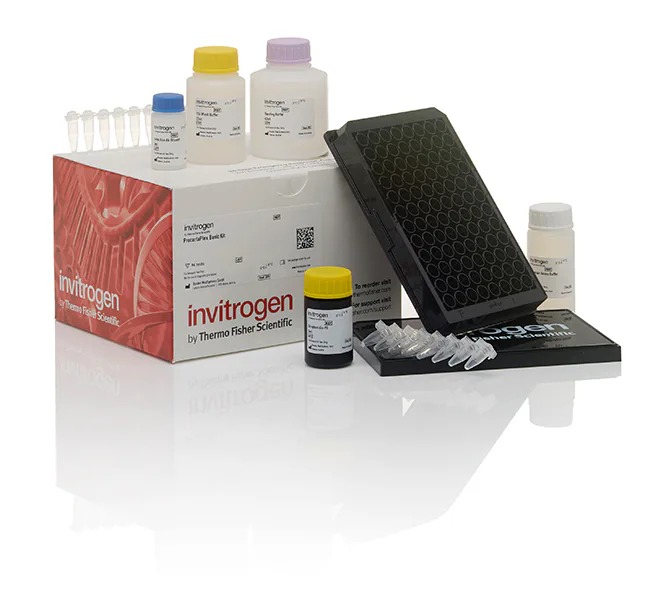 Invitrogen™ ProcartaPlex Human Basic Kit