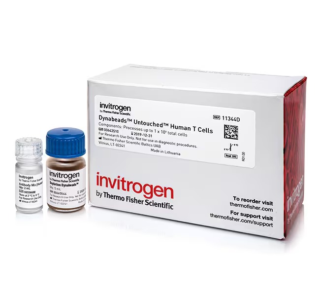 Invitrogen™ Dynabeads™ Untouched™ Human T Cells Kit for 100 preps