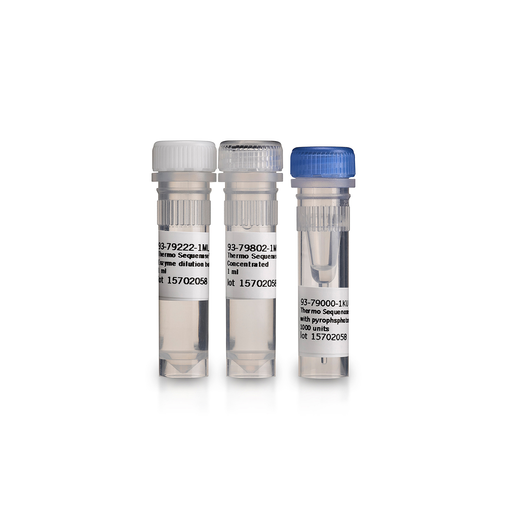 Applied Biosystems™ Sequenase Version 2.0 DNA Polymerase