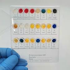 Liofilchem® Enterosystem 24R, for 20 Tests