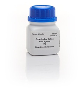 Thermo Scientific™ TopVision™ Low Melting Point Agarose