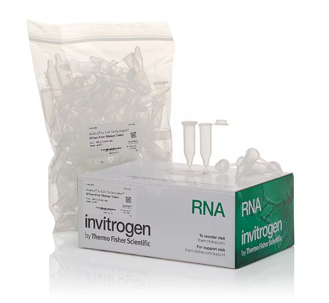 Invitrogen™ RNase-Free Elution Tubes (2.0 mL)