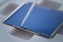 MALDI Biotyper® MBT Biotarget 96 IVD 