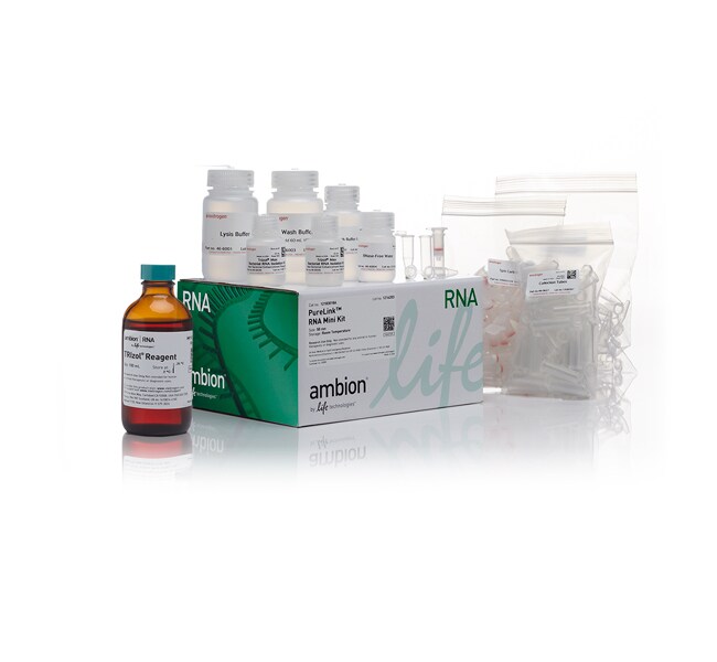 Invitrogen™ TRIzol™ Plus RNA Purification Kit, 50 preps