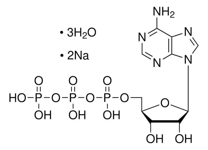 Apollo Sci. Adenosine-5'-triphosphate disodium salt (ATP disodium salt) trihydrate ≥98%