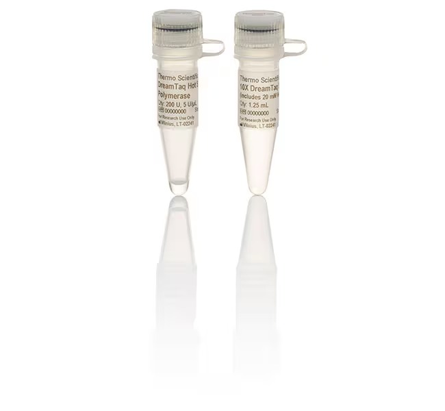 Thermo Scientific™ DreamTaq™ Hot Start DNA Polymerase, Colorless