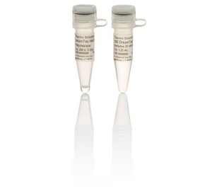 Thermo Scientific™ DreamTaq™ Hot Start DNA Polymerase, Colorless