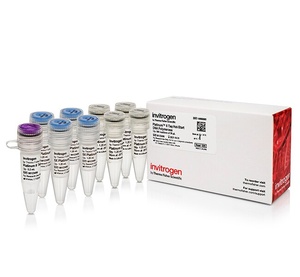 Invitrogen™ Platinum™ II Taq Hot-Start DNA Polymerase