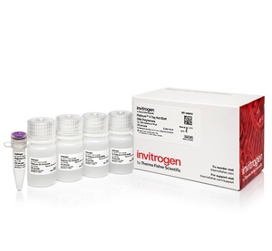Invitrogen™ Platinum™ II Taq Hot-Start DNA Polymerase