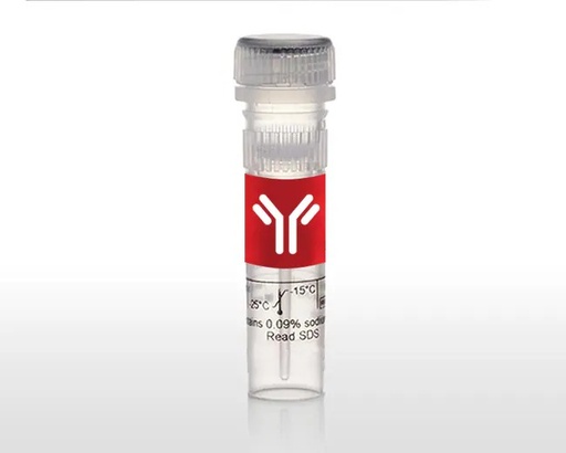 [25-9956-41] Invitrogen™ eBioscience™ HLA-DR Monoclonal Antibody (LN3), PE-Cyanine7 (for 25 Tests)