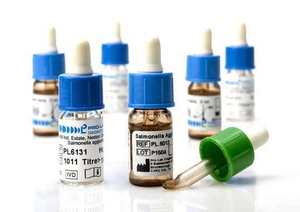 Pro-Lab Vision™ polyvalent Salmonella antisera