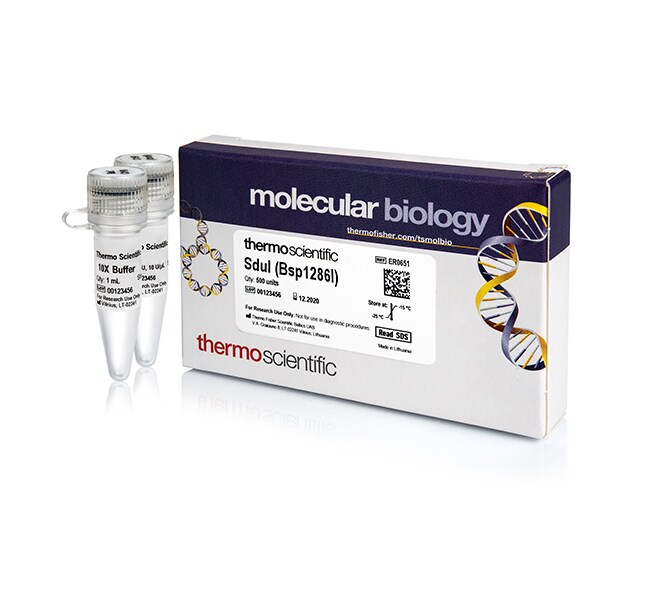 Thermo Scientific™ SduI (Bsp1286I) (10 U/μL), 500 UNITS