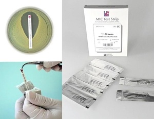 Liofilchem™ MTS™ Amphotericin B (AMB) MIC Test Strips (0.002–32 µg/mL)
