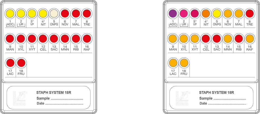 Liofilchem® Staf System 18R, 20 Tests
