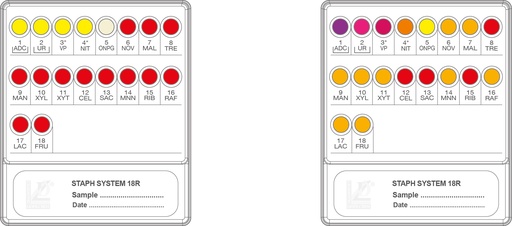 [71630] Liofilchem® Staf System 18R, 20 Tests