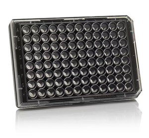 Thermo Scientific™ 96 Well Black/Clear Bottom Plate, Poly-D-Lysine Coated Surface